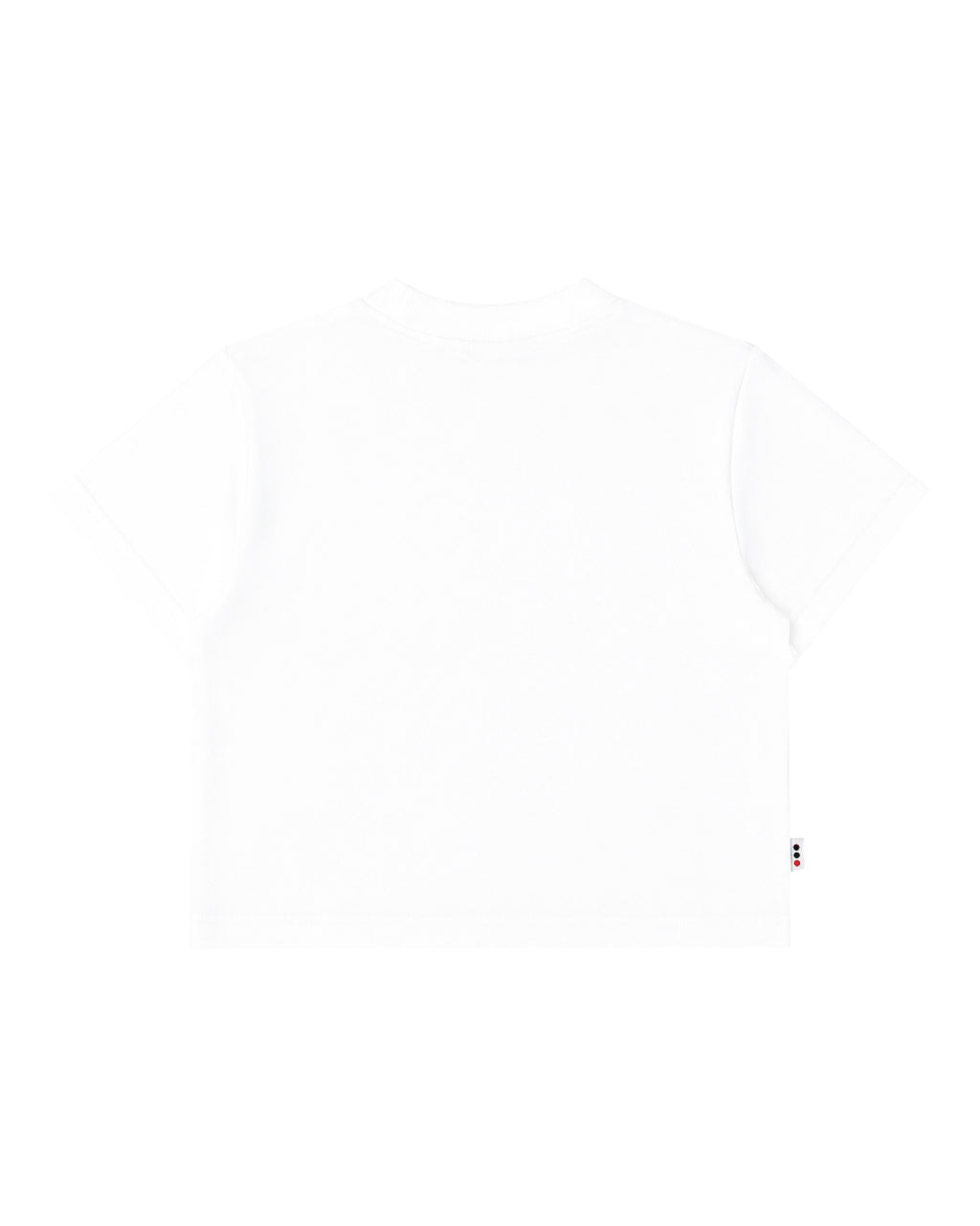 EVERYDAY CROP TOP (WHITE)