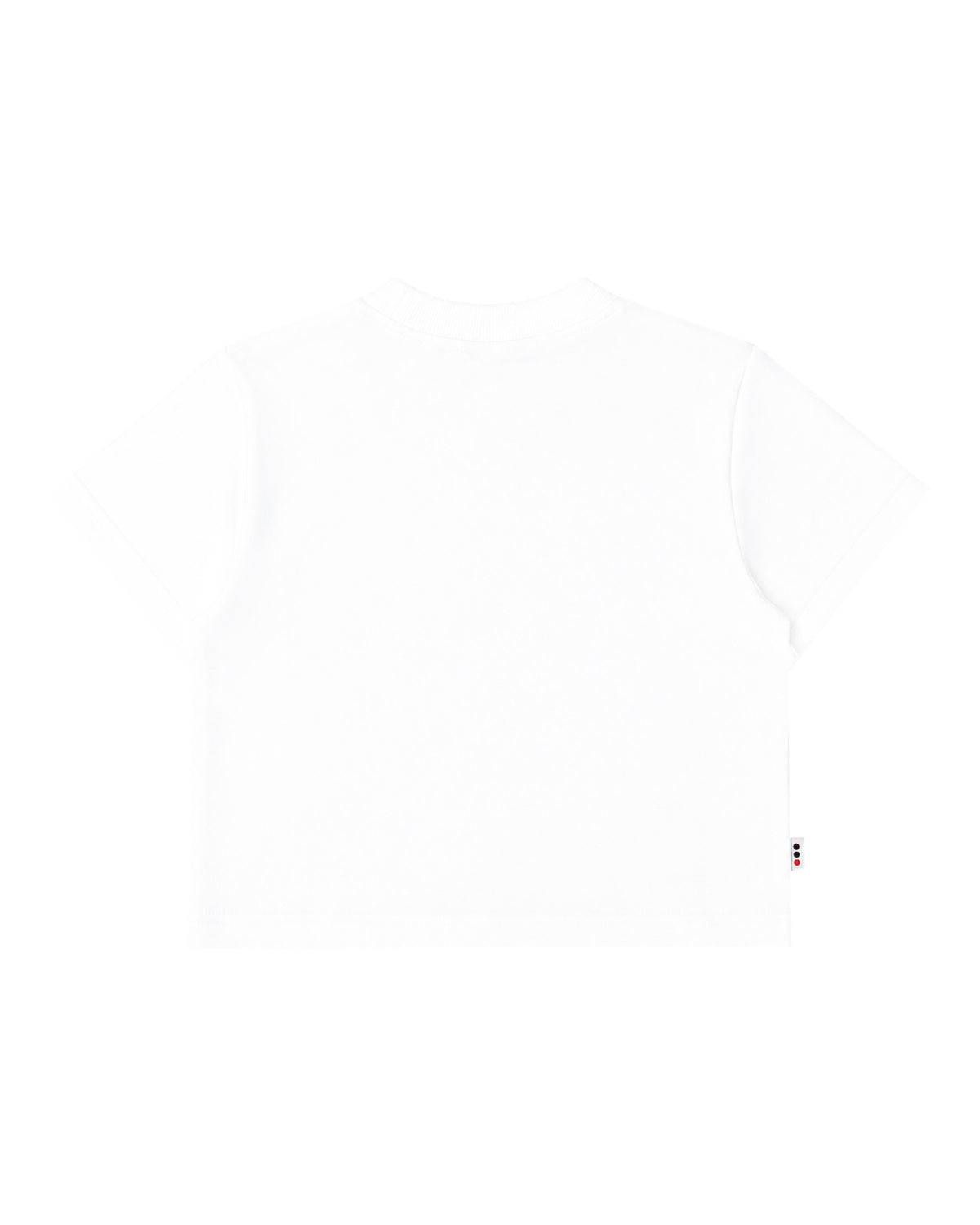 EVERYDAY CROP TOP [BABY BLUE]
